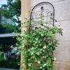 4 Pack Metal Garden Trellis For Climbing Plants Outdoor Rustproof Plant Support Rose Trellis Netting Trellis - Black - Image 8