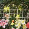 2 Pack Metal Garden Trellis Rustproof For Climbing Plant Outdoor Flower Support - Cream White - Image 8