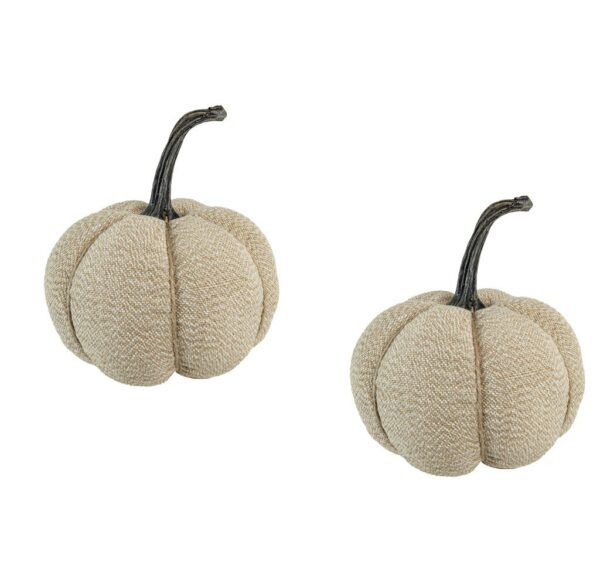 Weighted Pumpkin Ornament Decor For Holiday Harvest Festival Fall Festival & Thanksgiving (Set of 2) - Beige Multi