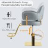 Elegant Barber Chair, Salon Chair For Hair Stylis, With Heavy Duty Hydraulic Pump Adjustable Barber Chair For Beauty Salon Spa Equipment - Gray - Image 4