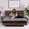 CopperCool Select - 10" Queen Hybrid Mattress - Gray / Charcoal - Image 8