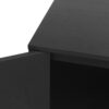 2 Door Cabinet, Suitable For Bedroom - Black - Image 21