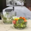 Palm Tree Style Acrylic Serving Bowls Unbreakable Small Bowls For Snacks Clear Bpa Free - Clear - Image 5