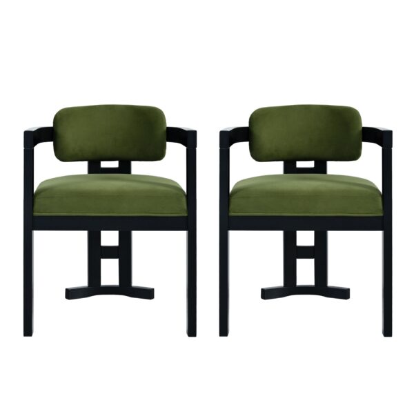 Elegant Upholstered Wood Dining Chair Set With Velvet (Set of 2) - Green / Black