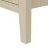 Rattan 2 Door Cabinet, Suitable For Bedroom - Natural - Image 19