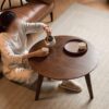 Center Low Coffee Table - Walnut - Image 8