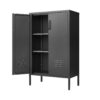 Suitable For Steel Storage Cabinets In Living Rooms, Kitchens, And Bedrooms, 2 Door Miscellaneous Storage Cabinet, Garage Tool Storage Cabinet, And Office File Cabinet 2 Movable Partitions - Black - Image 6