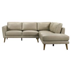 Benson - Sectional Sofa Right Facing Chaise - Beige
