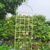 2 Pack Metal Garden Trellis Rustproof For Climbing Plant Outdoor Flower Support - Cream White - Image 5