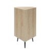 Corner Cabinet, Rattan Door, Freestanding Corner Tables For Small Spaces, Corner Shelf Stand For Living Room, Kitchen, Bathroom, Bedroom - Natural - Image 9