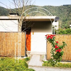 Metal Garden Arch Garden Arbor Trellis Climbing Plants Support Rose Arch Outdoor Arch - Cream White