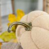 Weighted Pumpkin Ornament Decor For Holiday Harvest Festival Fall Festival & Thanksgiving (Set of 2) - Beige Multi - Image 4