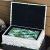 Botanical And Book Boxes (Set of 2) - White / Green - Image 10