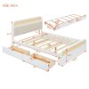 Queen Size Platform Bed With Trundle And 2 Drawers - White - Image 13