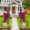 Metal Garden Arch With Two Plant Stands Wide High Climbing Plants Support Rose Arch Outdoor - Black - Image 11