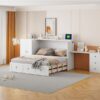Queen Size Murphy Bed With USB Port, Large Drawer, And Wardrobe / Desk Combo Versatile Cabinet Bed - White - Image 21