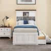 Twin Solid Pine Captain Bookcase Bed With Trundle Bed And 3 Spacious Under Bed Drawers In Casual - White / Walnut - Image 2