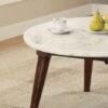 Gasha - Coffee Table - White Marble / Walnut - Image 6