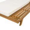 Acacia Wood Lounge Chaise Set With Headrest And Water Resistant Cushions - Beige - Image 12