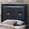 Primo - Twin Bed - Black - Image 3