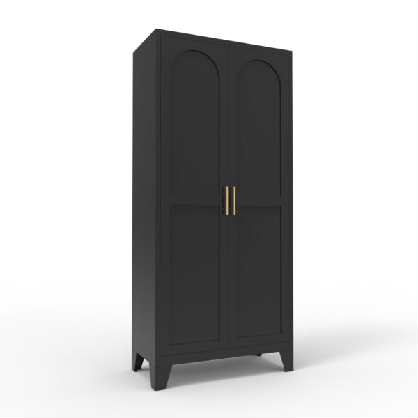 2 Shapely Doors Cabinet, Metal Storage Cabinet With Doors And Adjustable Shelves, For Bedroom, Living Room, Kitchen - Black