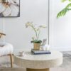 Unique Capiz Coffee Table With Pedestal Base - Multi - Image 2