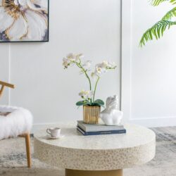 Unique Capiz Coffee Table With Pedestal Base - Multi