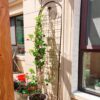 2 Pack Metal Garden Trellis For Climbing Plants Outdoor Rustproof Plant Support Rose Trellis Netting Trellis - Black - Image 6
