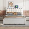 Queen Size Storage Platform Bed, With 2 Big Drawers, Twin Long Size Trundle, One Set Of Sockets & USB Ports - White - Image 14