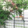 2 Pack Metal Garden Trellis Rustproof Trellis For Climbing Plant Outdoor Flower Support - Black - Image 15