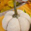 Weighted Pumpkin / Pattern (Set of 3) - Cream - Image 3