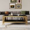 Top And Bottom Double Layer Tempered Glass Coffee Table And Mirror Finished Stainless Steel Frame - Black / Gold - Image 3