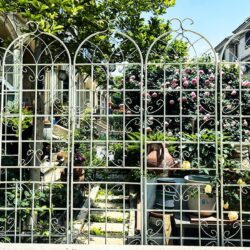 2 Pack Metal Garden Trellis Rustproof For Climbing Plant Outdoor Flower Support - Cream White