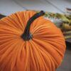 Velvet Weighted Pumpkin Ornament Decor For Holiday Harvest Festival Fall Festival & Thanksgiving (Set of 2) - Orange - Image 4