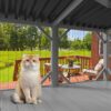 Cat Window Box Catio Outdoor Cat Enclosure For Sunbathing Napping & Viewing Window Perch For Large Indoor Cats All Weather Use Cat Cage - Gray - Image 4