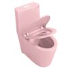1.1 / 1.60 Gpf Dual-Flush One Piece Toilet, Water-Saving Elongated Comfort Height Floor Mounted, Soft Close 1000 Gram Map Flushing Score Toilet 23T01-Rs - Rose - Image 24