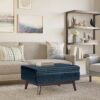 Owen - Coffee Table Storage Ottoman - Distressed Dark Blue - Image 9