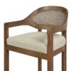 Americana - Mid-Century Modern Cane Back Bar Stool - Taupe Beige - Image 3