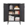 Suitable For Steel Storage Cabinets In Living Rooms, Kitchens, And Bedrooms, 2 Door Miscellaneous Storage Cabinet, Garage Tool Storage Cabinet, And Office File Cabinet 2 Movable Partitions - Black - Image 8
