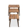 Hilson - Nesting Table - Walnut - Image 5