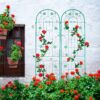 2 Pack Metal Garden Trellis Rustproof Trellis For Climbing Plant Outdoor Flower Support - Green - Image 14