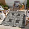Sunshine - 2'7" X 7'3" Indoor, Outdoor Area Rug - Anthracite - Image 4