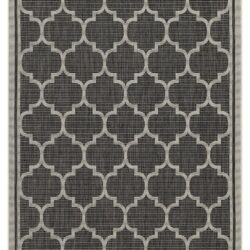 Sunshine - 5'3" X 7'3" Indoor & Outdoor Area Rug Polypropylene - Anthracite