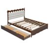 Queen Size Storage Platform Bed, With 2 Big Drawers, Twin Long Size Trundle, One Set Of Sockets & USB Ports - Walnut - Image 3