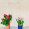 2 Pack Metal Garden Trellis Rustproof Trellis For Climbing Plants Outdoor Flower Support - Cream White - Image 4