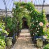 Metal Garden Arch With Two Plant Stands Wide High Climbing Plants Support Rose Arch Outdoor - Black - Image 5