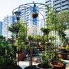 Metal Garden Arch Iron Garden Arbors Gazebo Dia High Birdcage Shape Pergola Pavilion For Wedding Ceremony Outdoor - Black - Image 6