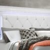 Shaker - Crocodile Queen Bed With LED - White - Image 4