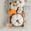 Weighted Pumpkin Ornament Decor For Holiday Harvest Festival Fall Festival & Thanksgiving (Set of 2) - Beige Multi - Image 10