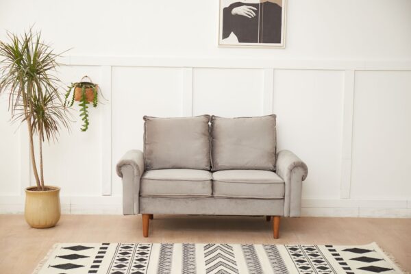 Luxurious Comfort Plush Comfort Loveseat - Gray